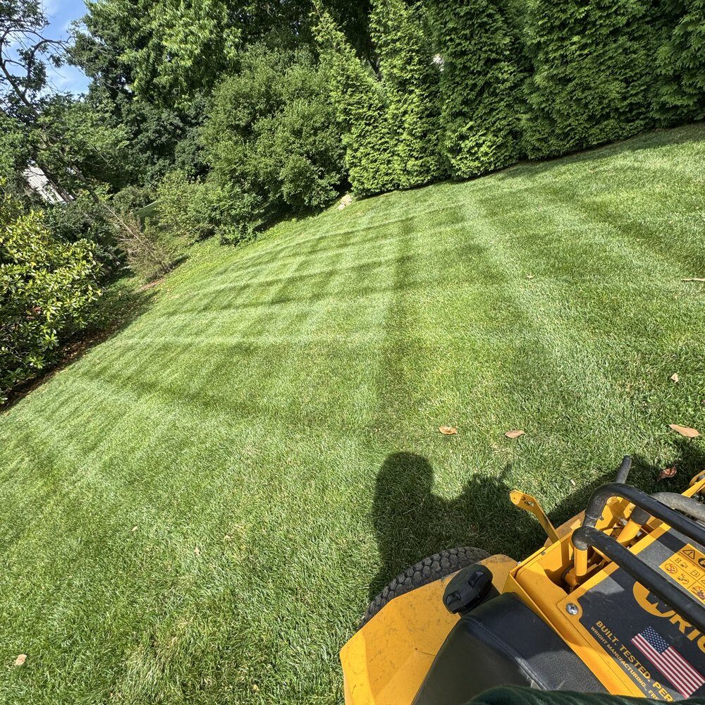 Fresh mowing stripes across a lawn, seen from the mower seat