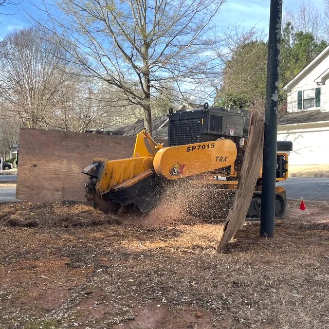 Tracked stump grinder throwing chips as it grinds a stump in a front yard